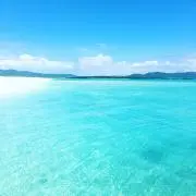 mi____