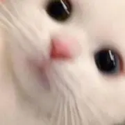 ねるの画像