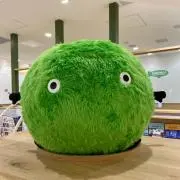 凪