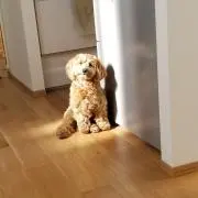 なかの画像
