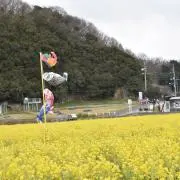 ta.の画像