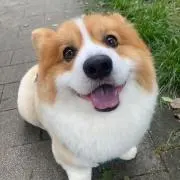 えりかの画像