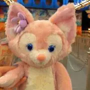 チュキの画像