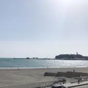 べーやぬの画像