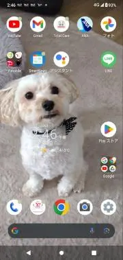 モグの画像