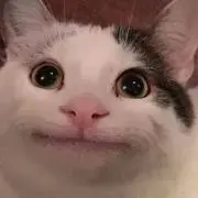 たけたーぼ