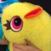 YNGの画像