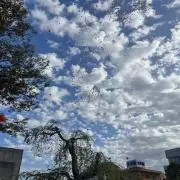 らむの画像