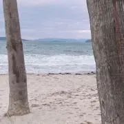 KyuureNの画像