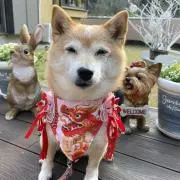 ♥•ᴥ•♥ 小雪の縁結び*☻-☻*の画像