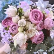 Hinaの画像