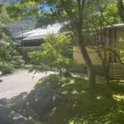 ANA55729の画像