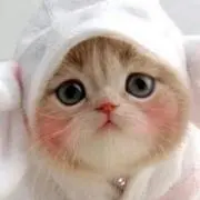 ＊ちゃおまま＊