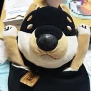コスモ堂