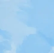 チョコちゃの画像