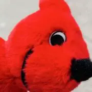 あさたせの画像