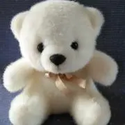 くまちゃんの画像
