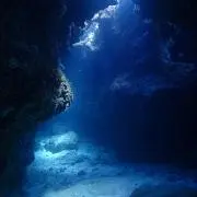 Tの画像