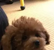 優