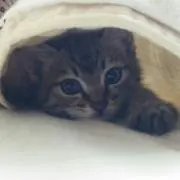 ひろ