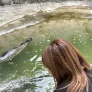 たまごっちの画像