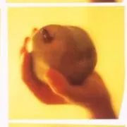 ミーコの画像