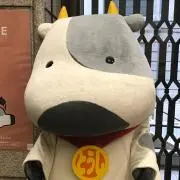 koike断捨離中の画像