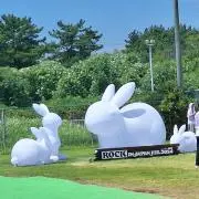 haato28の画像