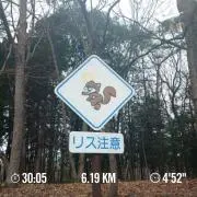 pobbrockの画像