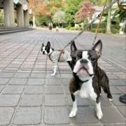 ジオラマの画像