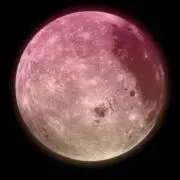 Mの画像