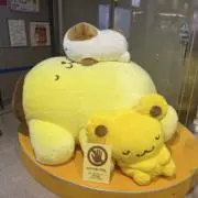Anzuuuuuの画像