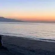 yuyuの画像