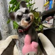 モカの画像