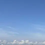 sayuの画像