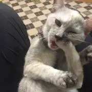 ぽんず