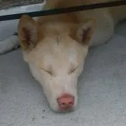 ★プロフィールご確認下さい★の画像