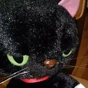 Hanaの画像