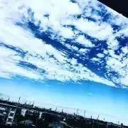 こもの画像