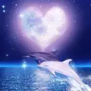 ひろ♡プロフ必読☪︎*。꙳