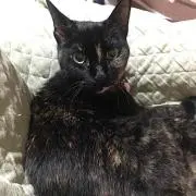 みき
