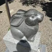やたむの画像