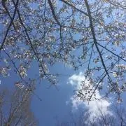 ⭐︎ぐり⭐︎の画像