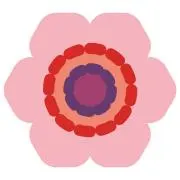 ろろの画像