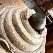 宝の持ち腐れの画像
