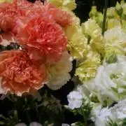 maruri♡の画像