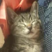 ミチルの画像