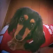 あき