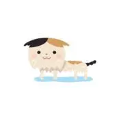 くらげの画像