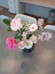 ぽぺすの画像